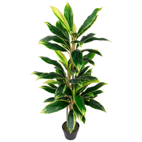 Northlight Real Touch&trade;️Artificial Potted Two Tone Dracaena Plant - 4.5' Green {5}