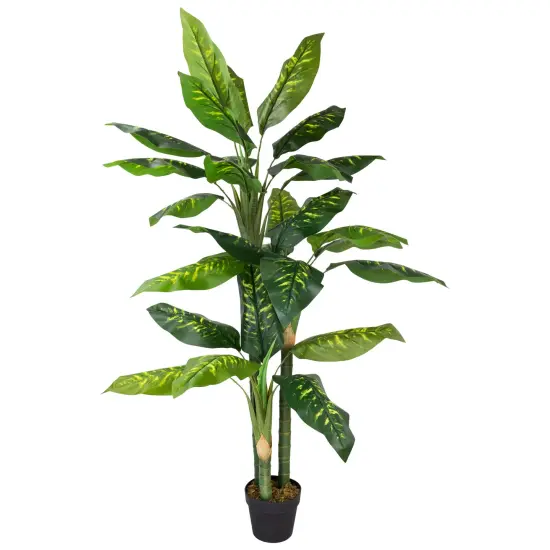Northlight Wide Leaf Artificial Dieffenbachia Potted Plant - 59" Green {3}