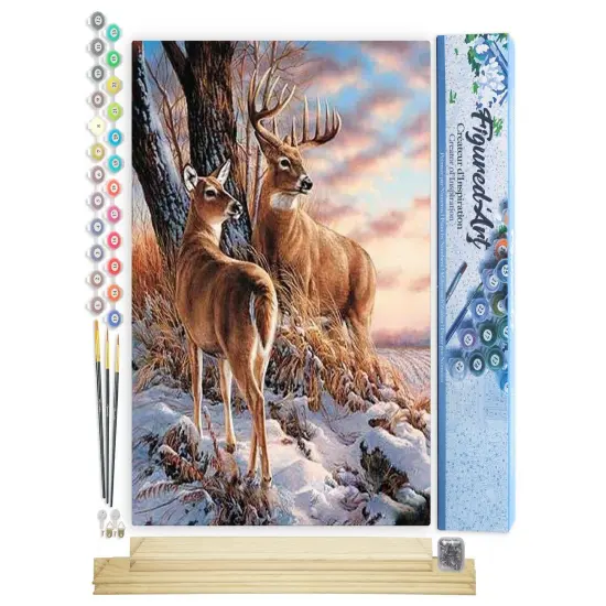 Figured'Art Paint by Numbers Kit for Adults Deers during Winter 16"x20" - Craft Art Painting Rolled Canvas with DIY wooden frame {1}