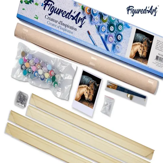 Figured'Art Paint by Numbers Kit for Adults Horse and Foal 16"x20" - Craft Art Painting Rolled Canvas with DIY wooden frame {5}