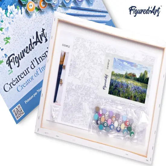 Figured'Art Paint by Numbers for Adults with Frame Countryside field and Blue Flowers 16"x20" - Craft Art Painting DIY Kit Canvas Already Stretched on a Wooden Frame {5}