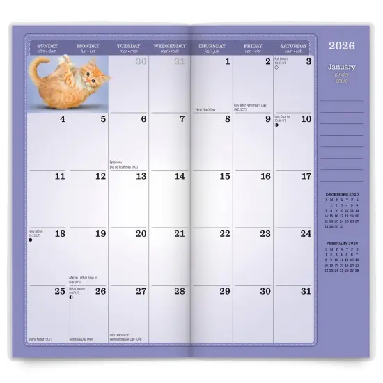 Yoga Kittens OFFICIAL | 2026-2027 3.5 x 6.5 Inch Two Year Monthly Pocket Planner Calendar {3}