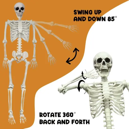 5.6ft Halloween Human Poseable Skull Skeleton {5}