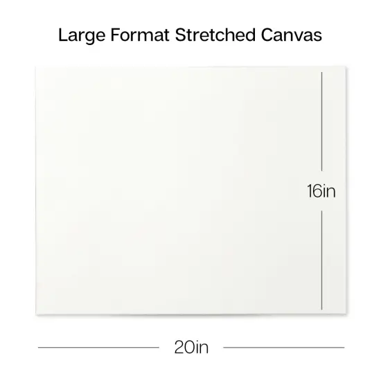 KINGART&reg; Stretched Canvas 16" x 20", 6-Pack {3}