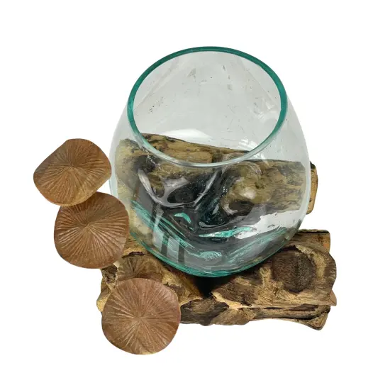 Handcrafted Glass Vase with Teak Driftwood and Wood Mushroom Embellishments Brown {3}