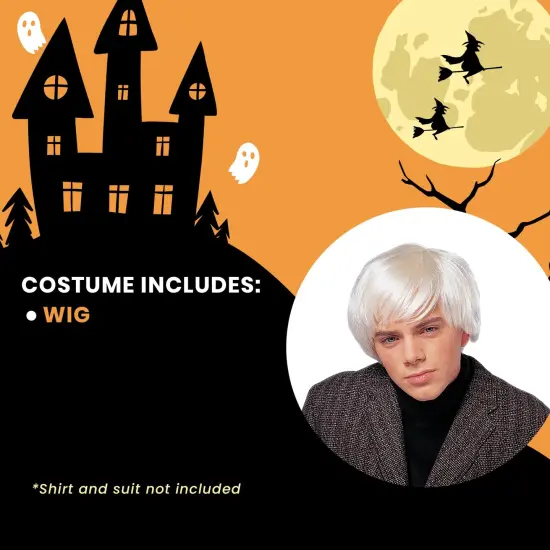 Artist Men's Costume Wig - Platinum {6}
