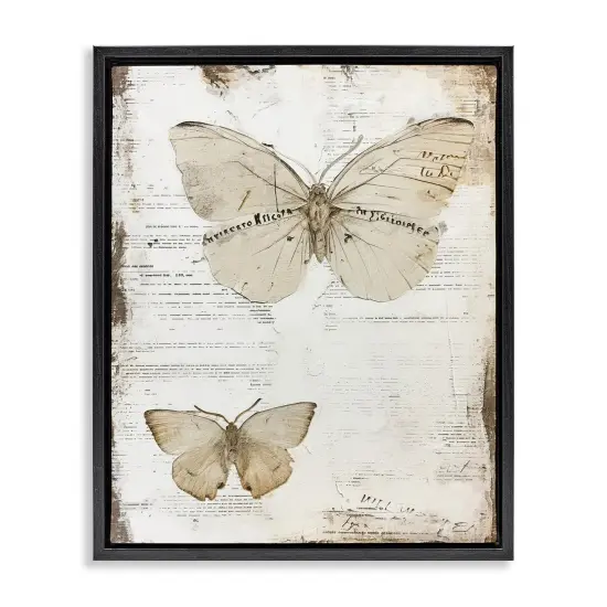 Stupell Industries Butterfly Journal Collage Framed Floater Canvas Wall Art Design by RileyB {1}