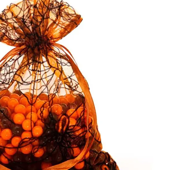 6&rdquo; x 8&rdquo; Spider Web Bags Perfect for Candy and Party Favors {3}