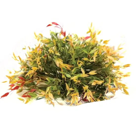 Red/green Velvet Ash Half Sphere 12" {1}