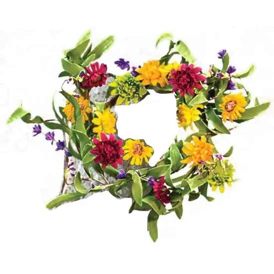 12" Mixed Prairie Daisy Wreath {1}