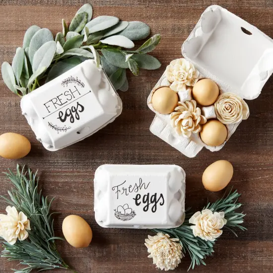 Juvale 20 Pack 1/2 Dozen Empty Egg Cartons for Chicken Eggs, Half dozen Egg Holder for Farmers Market, Home Grown Tray, Arts and Crafts, Hold 6 Eggs each, White {2}