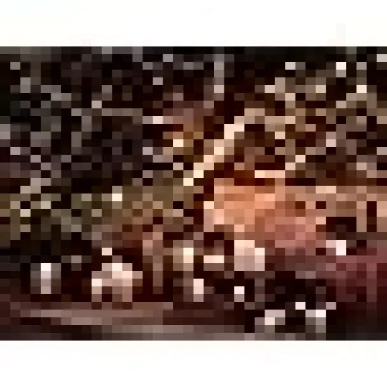 Green Wire LED String Lights for Home {2}