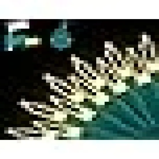 Count Warm White LED Christmas String Lights {6}