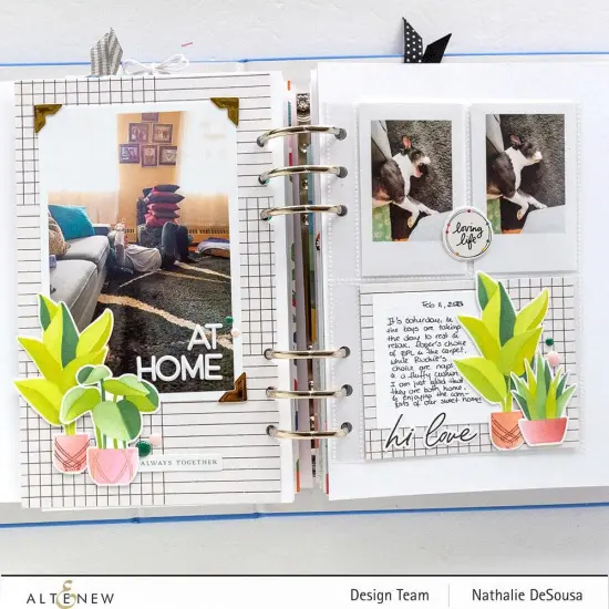 Dynamic Duo: Hanging Houseplants {5}