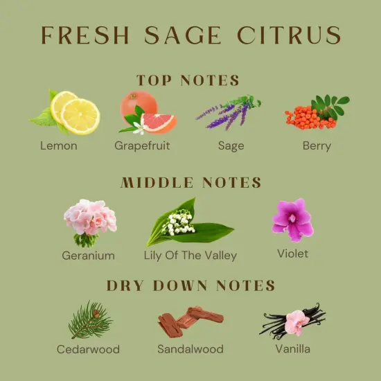 Aromatherapy Green Soy Scented Candle - Fresh Sage Citrus Scent, 10.6 oz, 60-Hour Burn,Clean Stress Relief Candles Gift for Birthday,Valentine's Day,Mother Day {3}