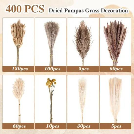 400 PCS Dried Pampas Grass Decor {3}