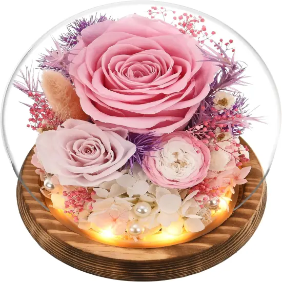 Gifts for Women Mom Grandma, Preserved Flowers Roses in Glass Dome with LED Light, Mother Day Birthday Valentine Gifts (Pink) {1}