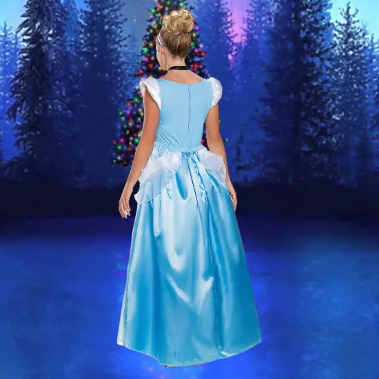 Womens Deluxe Cinderella Costume With Pale Blue Gown And Choker Necklace Women&rsquo;s Extra Large Fits US Sizes 14-16 {4}