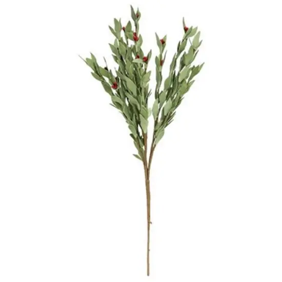 20&rdquo; High Red Pip and Foamy Herb Spray with Flexible Brown Wrapped Stem {1}