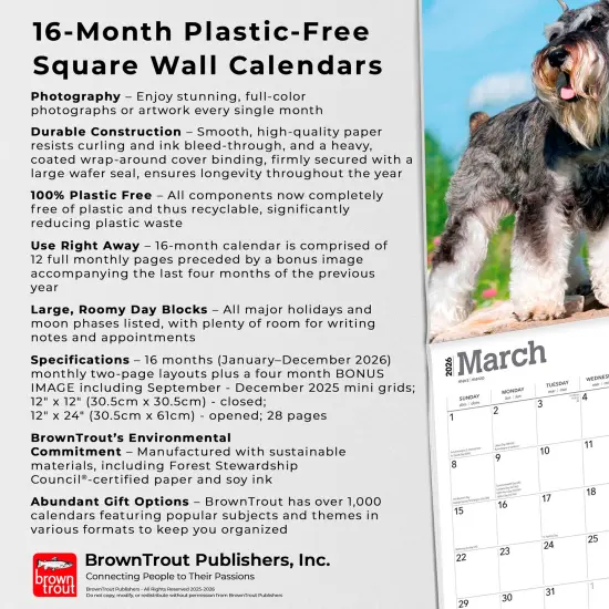 Miniature Schnauzers | 2026 12 x 24 Inch (Hanging) Monthly Square Wall Calendar | Plastic-Free {6}