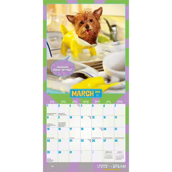 Avanti Livin' the Dream OFFICIAL | 2026 7 x 14 Inch (Hanging) Monthly Mini Wall Calendar {3}