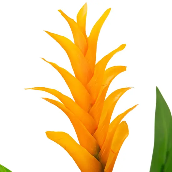 Northlight Artificial Bird of Paradise Plant in a Black Pot - 50" Green {6}