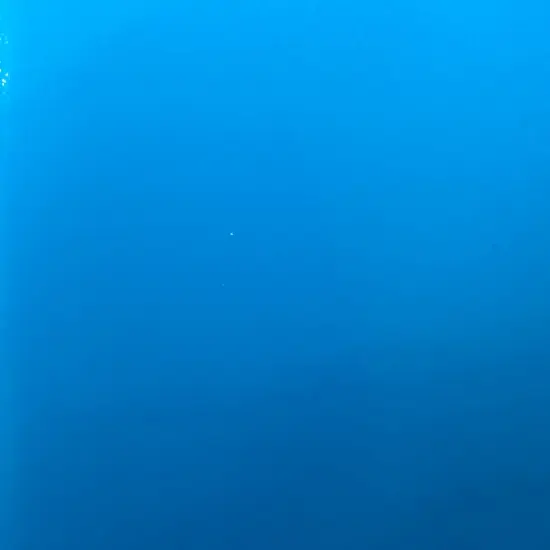 1 Yard Stretch Vinyl Nylon Spandex Solid Fabric For Activewear Dancewear 58 Inch Wide Tarquoise {1}