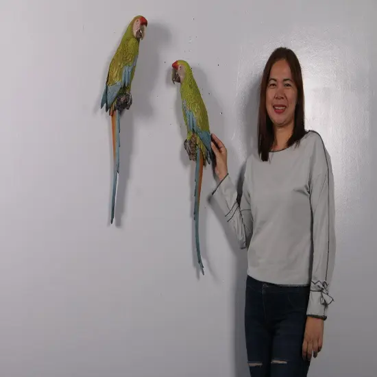 Macaw Buffon Lover Parrots Life Size Statue {2}