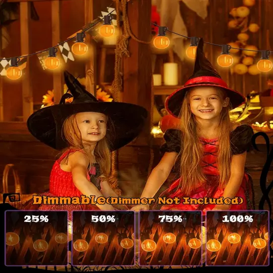 25Ft G40 Halloween Orange String Lights {5}