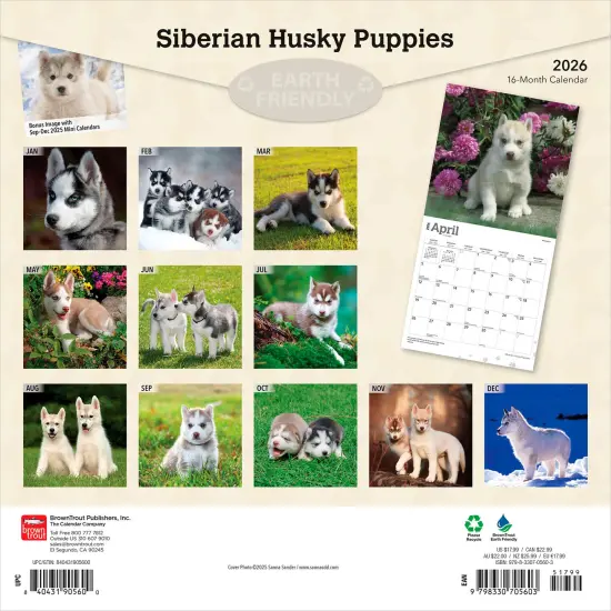 Siberian Husky Puppies | 2026 12 x 24 Inch (Hanging) Monthly Square Wall Calendar | Plastic-Free {2}