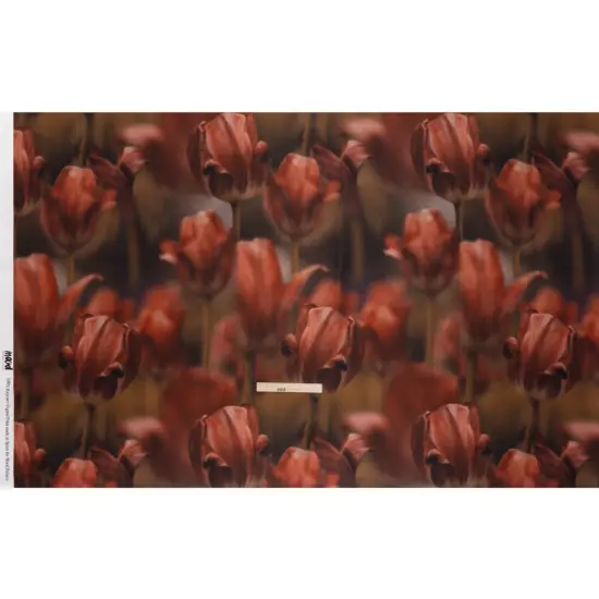 1 Yard Red Light Brown Large Tulip Polyester Mikado Fabric Exclusive Tulip Transformation Print 57 inch Width {3}