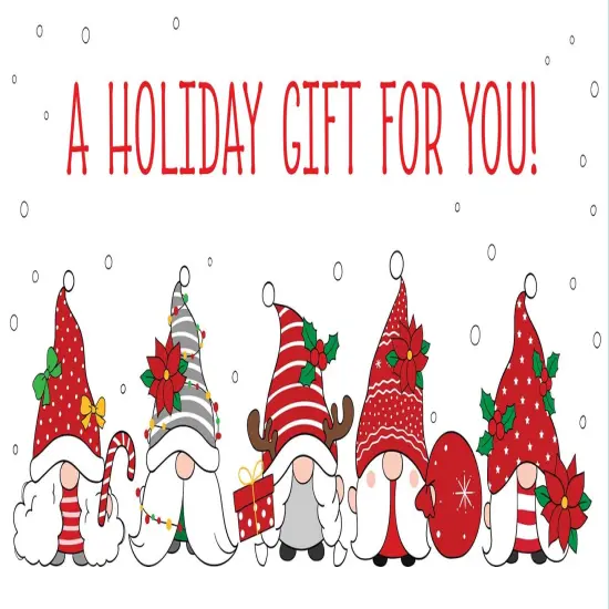 Great Papers! Gnome Holiday Gift /Money Card Holders with Envelopes, 6.5" x 11", 12 Count {2}