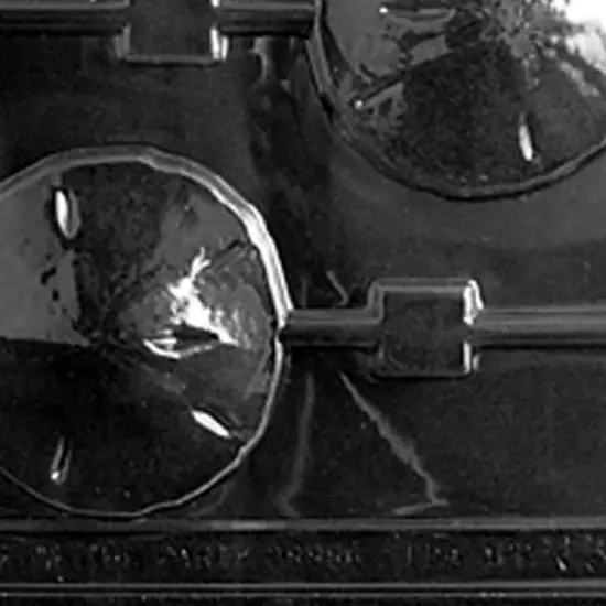 Sand Dollar Beach Party Chocolate Lollipop Mold {2}