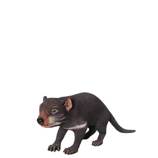 Tasmanian Devil Life Size Statue {1}