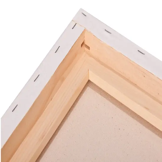 Paramount Professional Gallery Wrapped Canvases for Painting, Pack of 3 Heavy-Duty Stretched Canvas, Unbleached 100% Cotton, 1-13/16 Deep, Acid-Free, Triple-Primed, Medium-Tooth Surface {5}