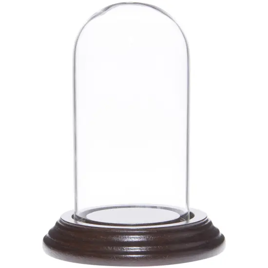 Plymor 2" x 4" Mini Glass Display Dome Cloche Walnut Veneer {2}