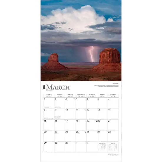 A Perfect Storm | 2026 12 x 24 Inch (Hanging) Monthly Square Wall Calendar | Foil Stamped Cover | Plastic-Free {3}