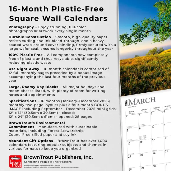 The Majesty of Trees | 2026 12 x 24 Inch (Hanging) Monthly Square Wall Calendar | Plastic-Free {6}