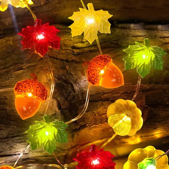 Fall Decor 30LED/10Ft 3D Pumpkin Lights {1}