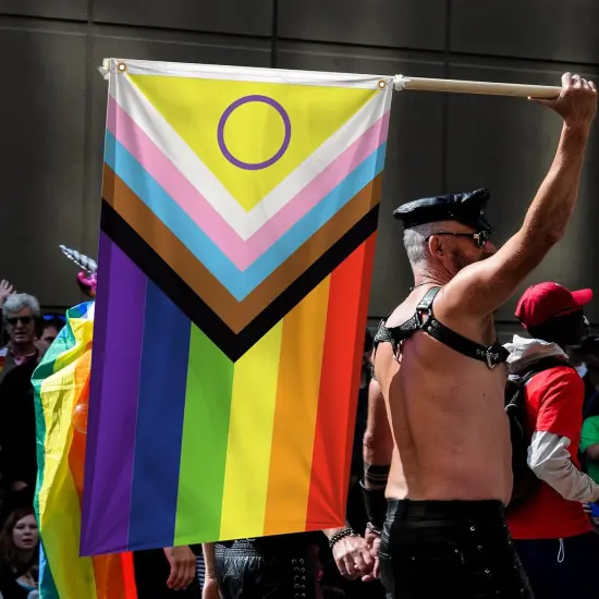 New Progress Pride Flag 3x5 ft Outdoor, LGBTQ Rainbow Intersex-Inclusive Flags, Double Sided Pride Progress Flag Gay Bisexual for Room Wall House Decoration {2}