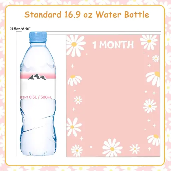 Daisy 1st Birthday Photo Banner for Girls, Pink Groovy 1-12 Monthly Photo Banner, Daisy Boho Hippie Baby Girl First Bday Party Supplies {5}