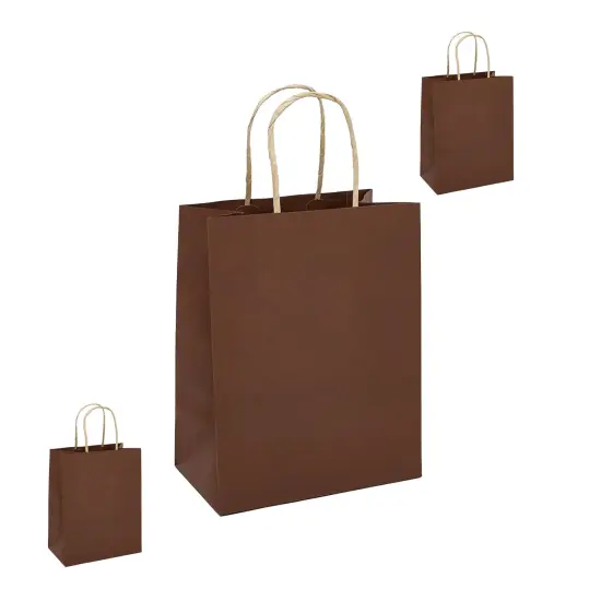 Large Kraft Shopping Bag 16" x 6" x 12" {4}