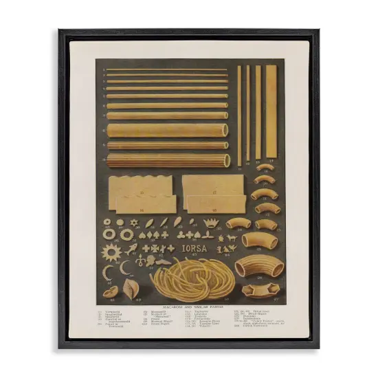 Stupell Industries Various Pasta Shapes Vintage Floating Frame Design by Phillipa Katz {7}