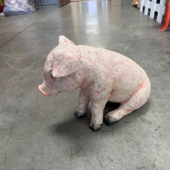 New Born Pig Sitting Life Size Statue {6}
