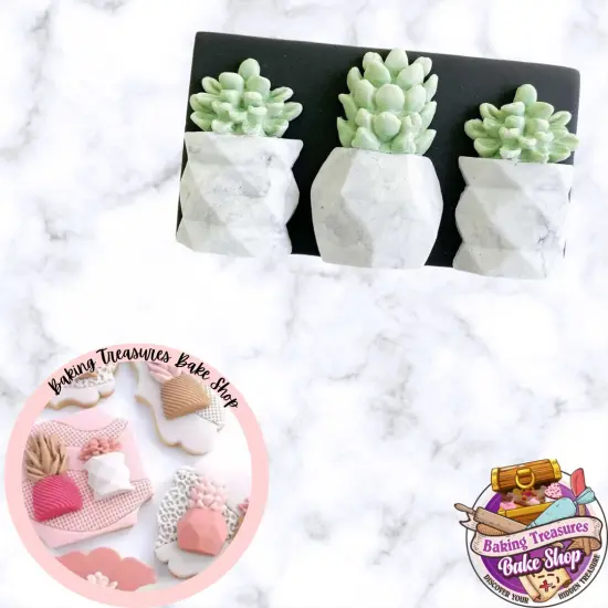Potted Succulents Silicone Mold {3}