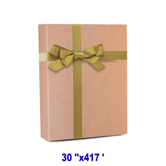 Dynamic Solid Color Paper 30" x 417' 60 lbs for Bold Statements {1}