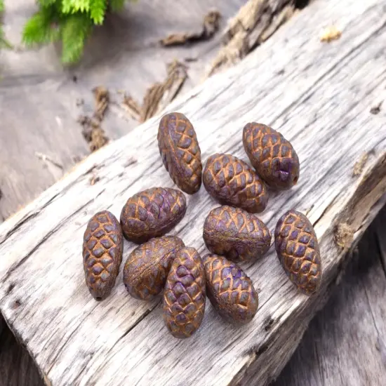 *10* 13x8mm Copper Washed Purple Pine Cone Beads {1}