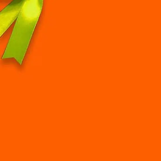 Vibrant Solid Gift Wrap 24" x 833' 60 lbs for Festive Celebrations {5}