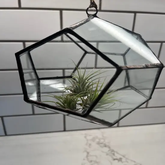 Hanging Glass Terrarium - Hexagon {5}