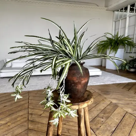 Artificial Chlorophytum Fake Spider Plant Decorative Silk Plant Indoor Wall Hanging Plants for Home Garden Verandah {2}